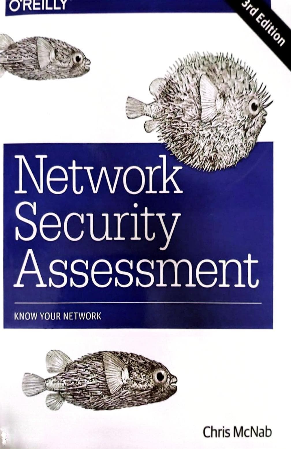 Network Security Assessment