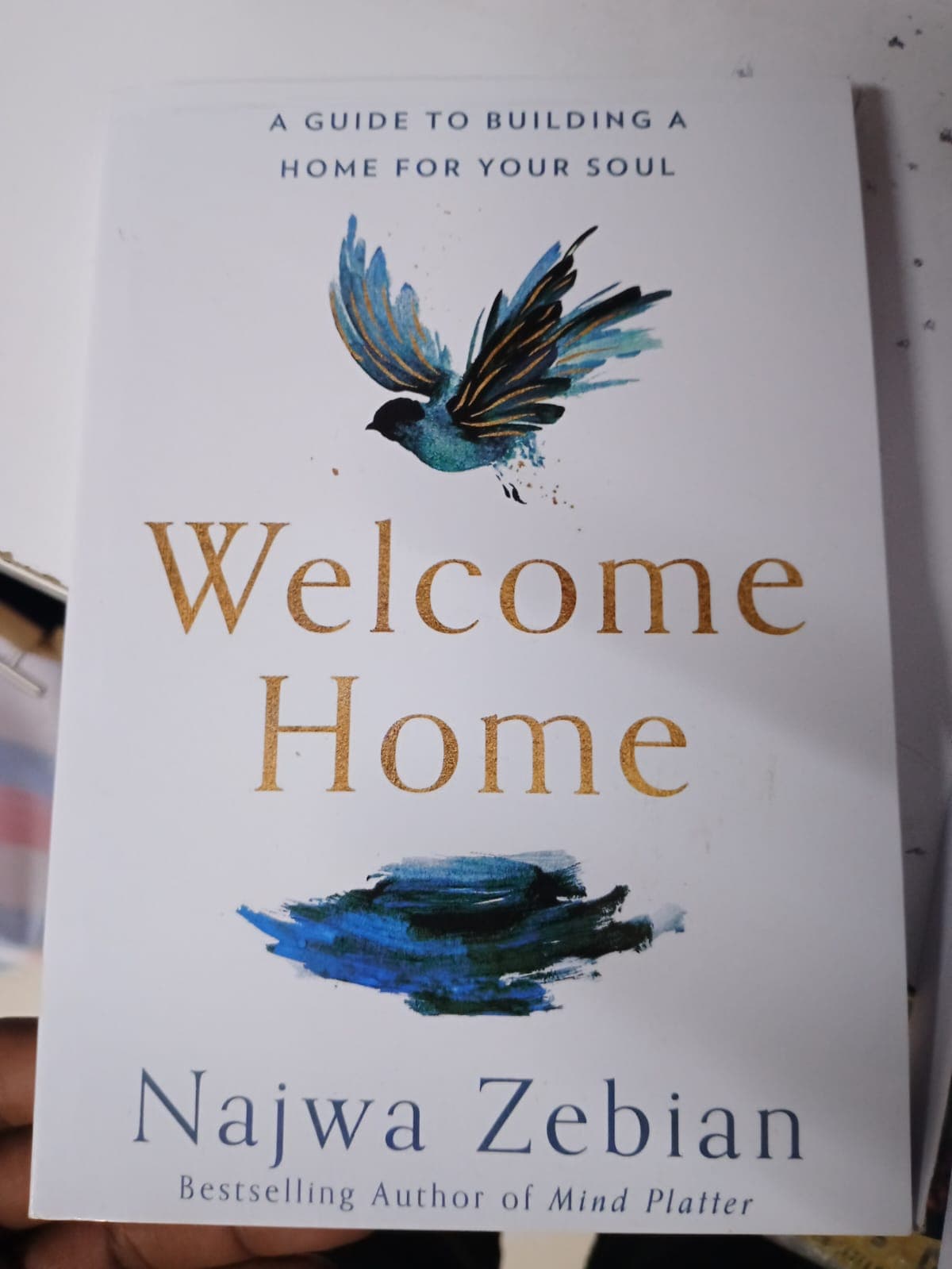 Welcome Home: A Guide to Building a Home for Your Soul